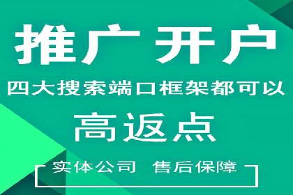 SEM竞价广告优化全攻略：经典案例解析